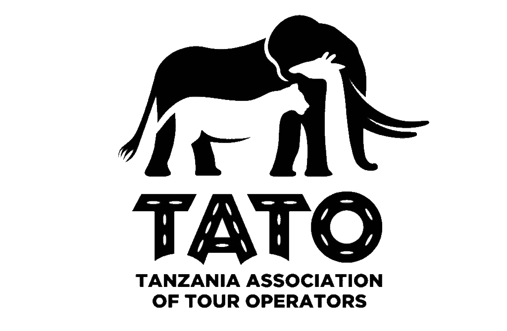 tato-vector-new-1